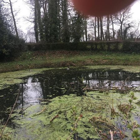 Villa Le Colombier De Royaumont à Saint-Arnoult  Extérieur photo